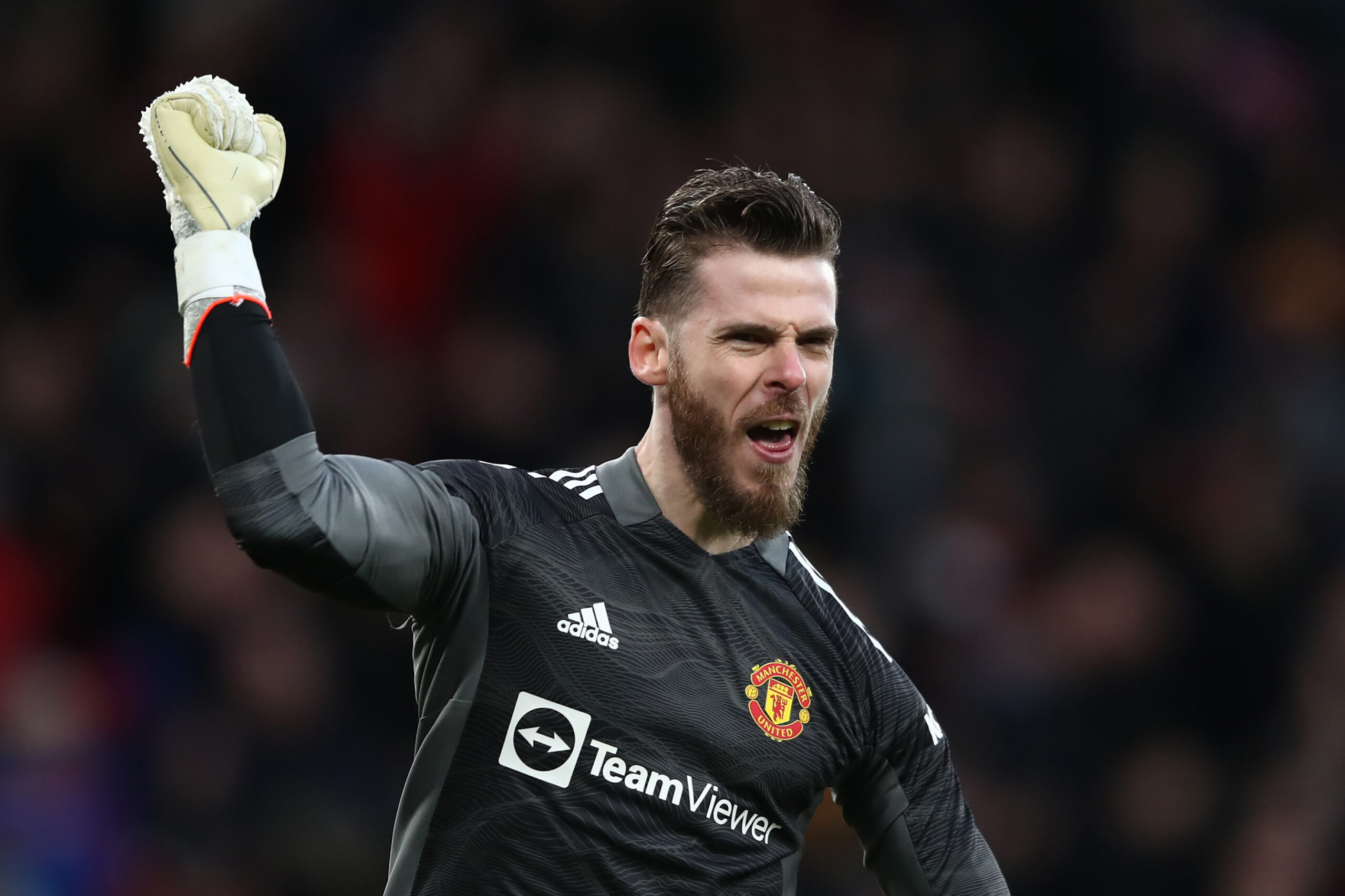 DAVID DE GEA