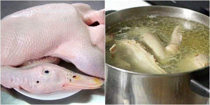luộc vịt