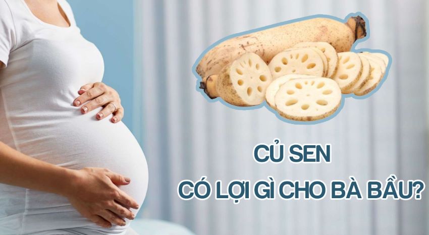 tác dụng của củ sen đối với bà bầu
