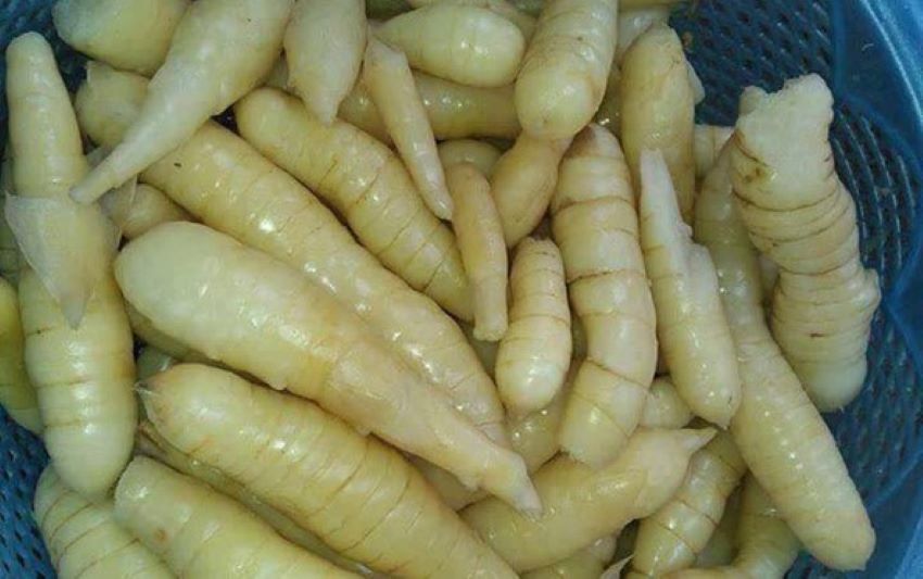 bình tinh hấp