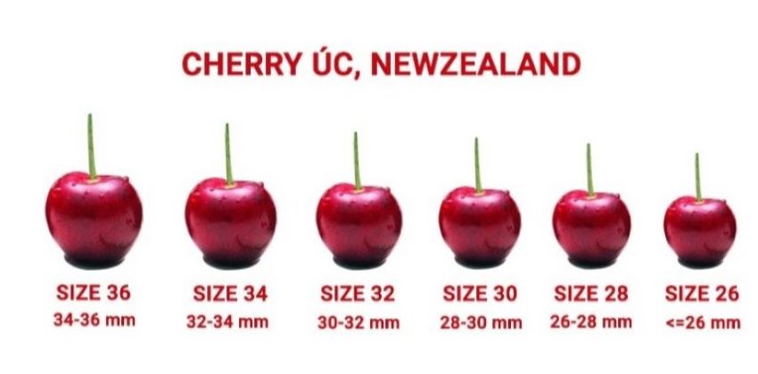 các loại cherry