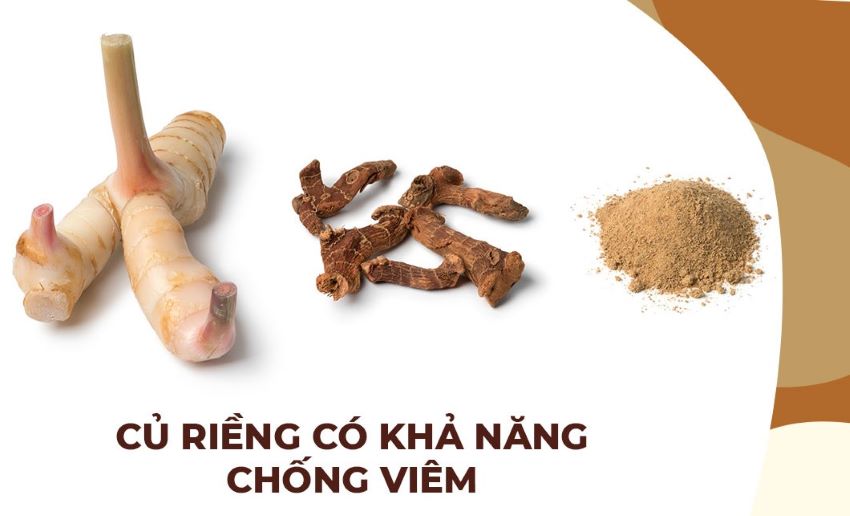 công dụng của củ riềng