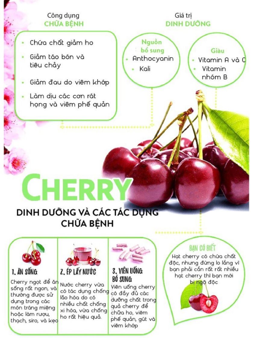 công dụng của quả cherry