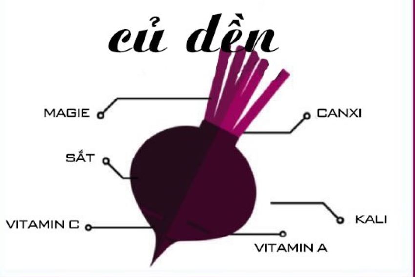 dinh dưỡng trong củ dền