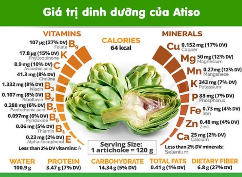 dinh dưỡng trong hoa atiso