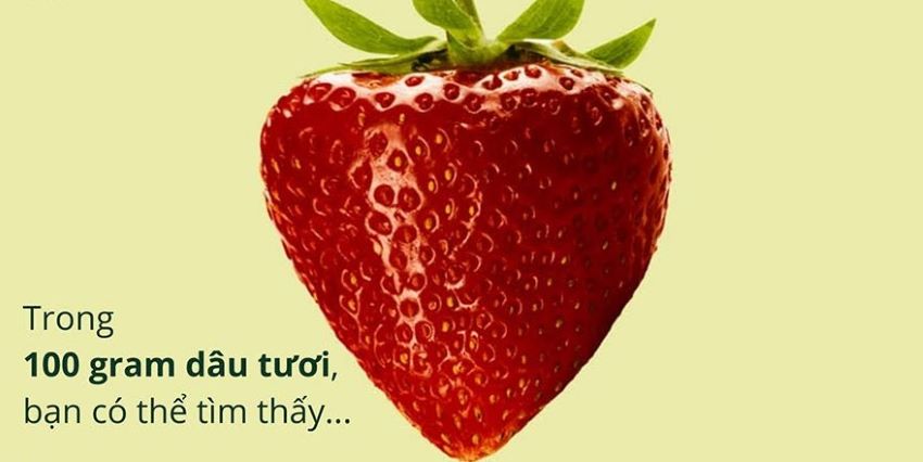 dinh dưỡng trong quả dâu tây