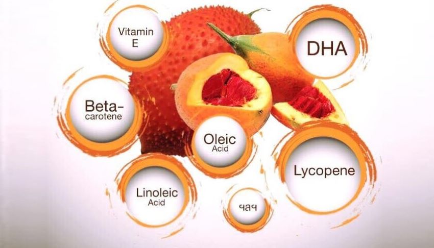 dinh dưỡng trong quả gấc
