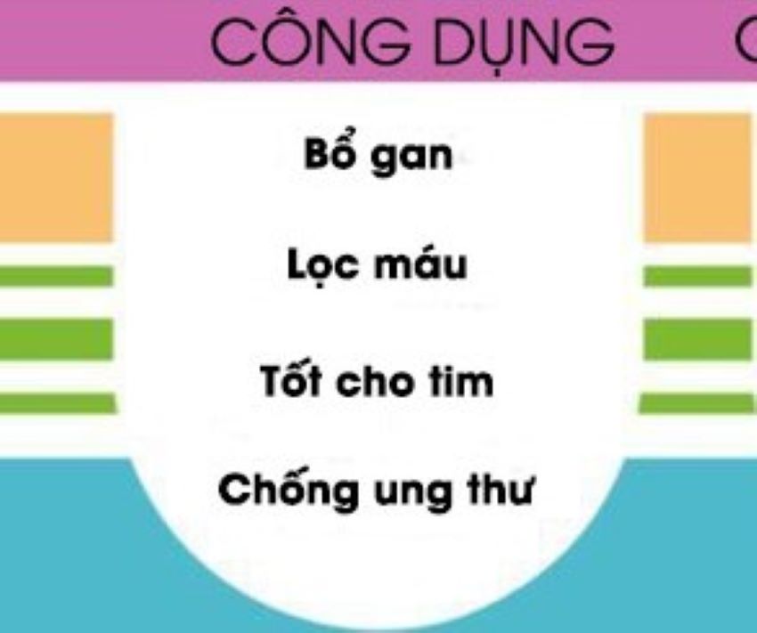 lợi ích của củ dền