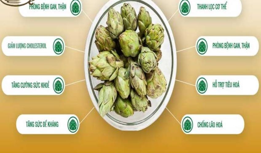 tác dụng của hoa atiso