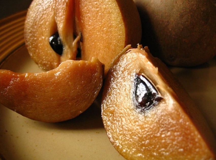 hạt quả hồng xiêm