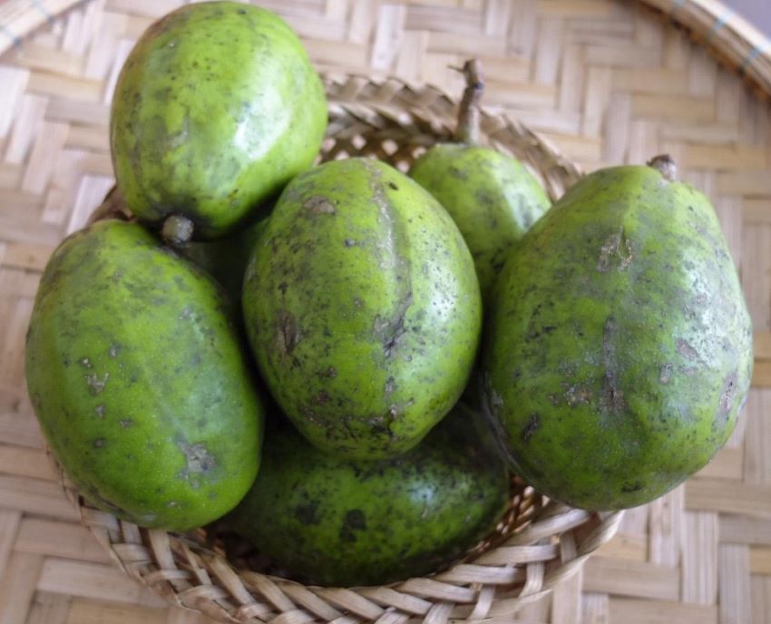 quả cóc ngon