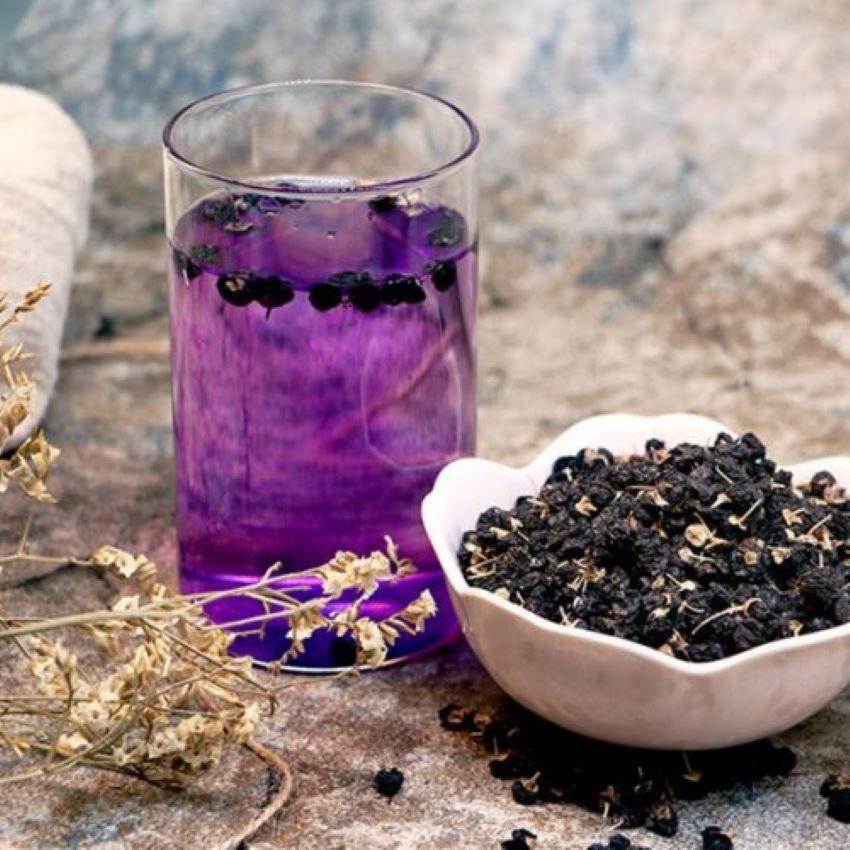 tác dụng hắc kỷ tử