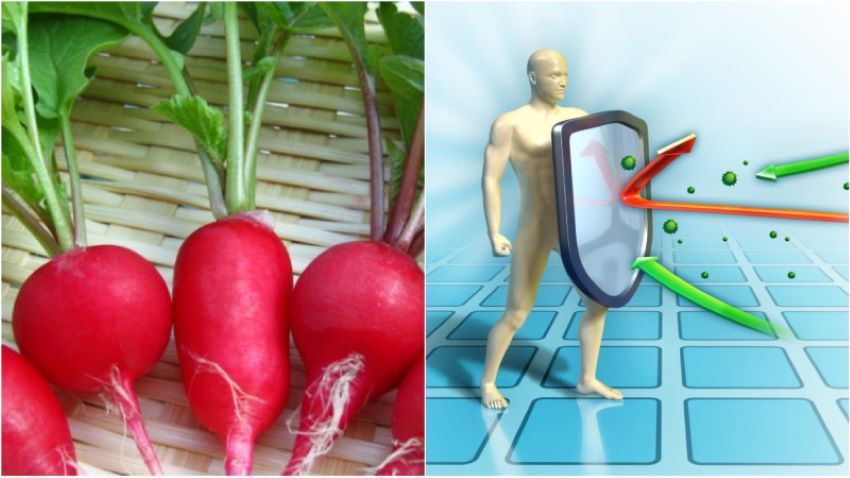 tăng khả năng miễn dịch