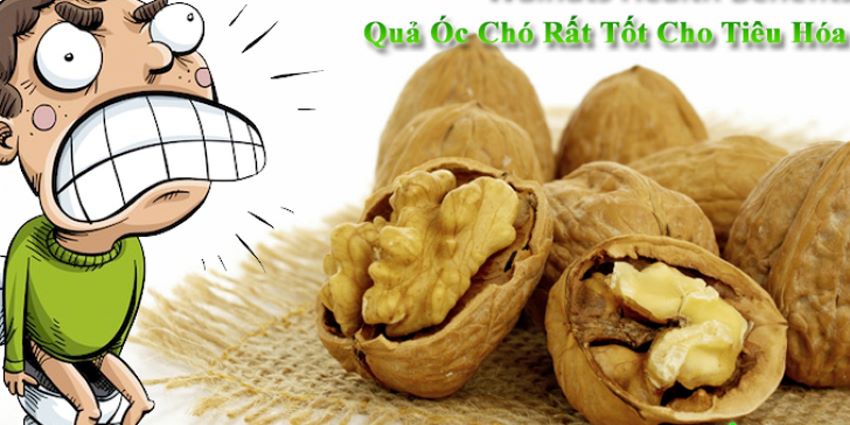 tốt cho tiêu hóa