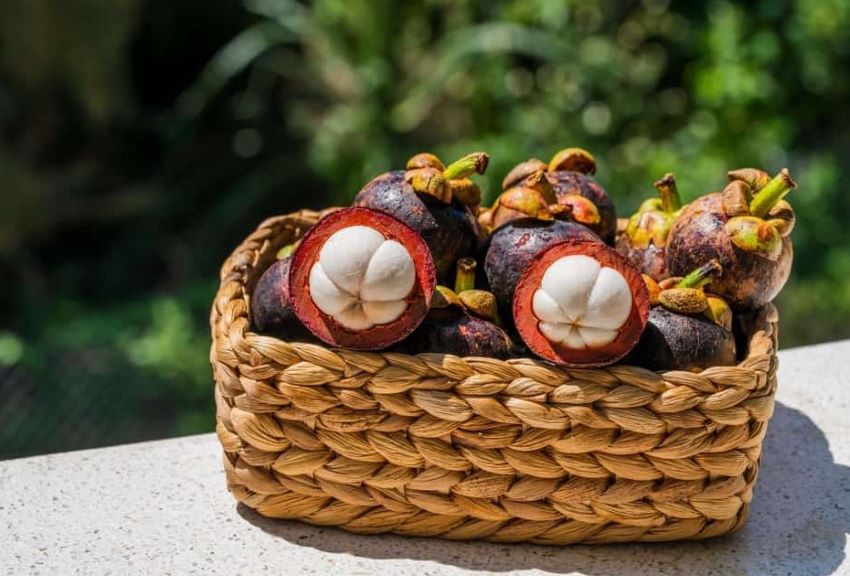 giỏ măng cụt