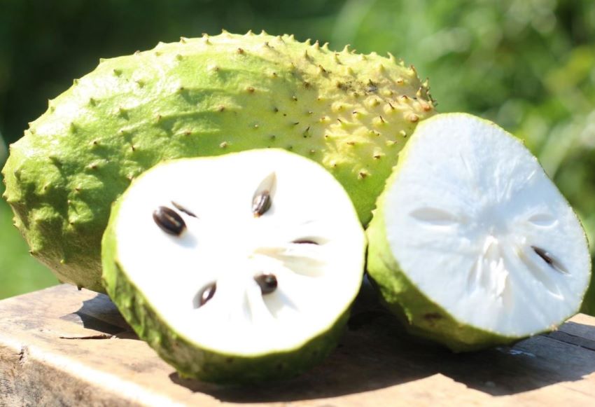 mãng cầu xiêm