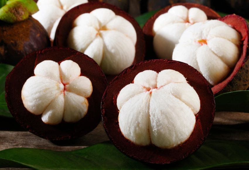 quả măng cụt