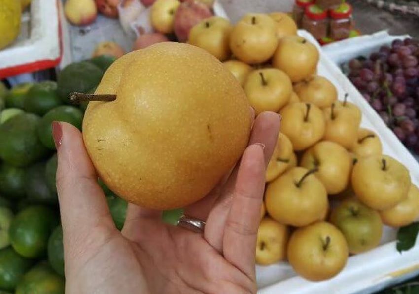 lê rừng