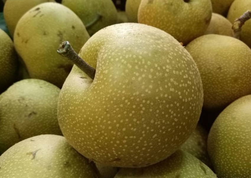 quả mắc cọp