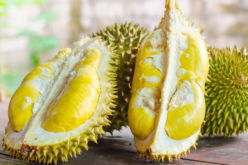 quả sầu