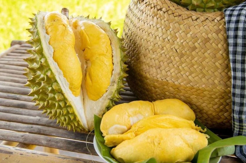 quả sầu riêng