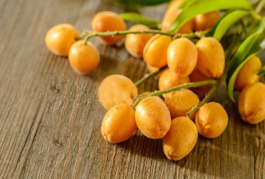 quả quất