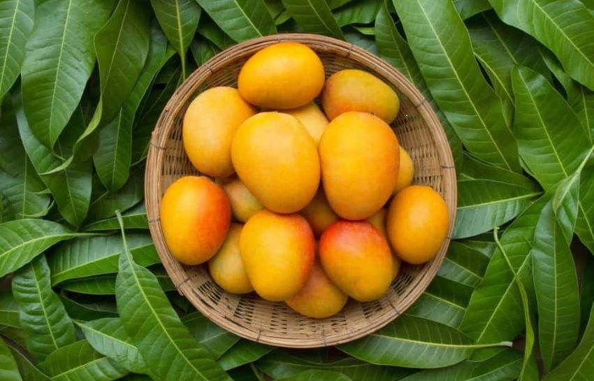 quả quéo