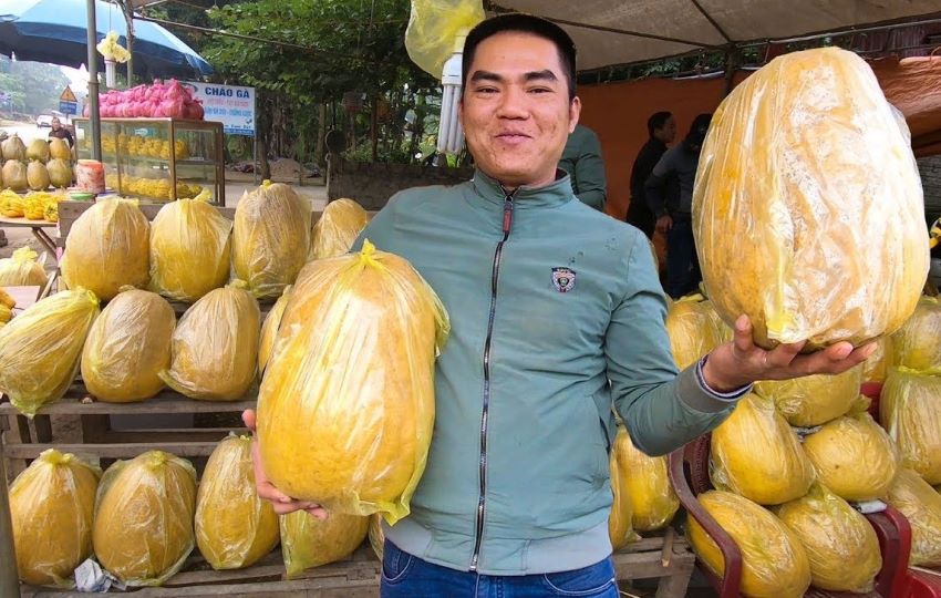 bưởi kỳ đà