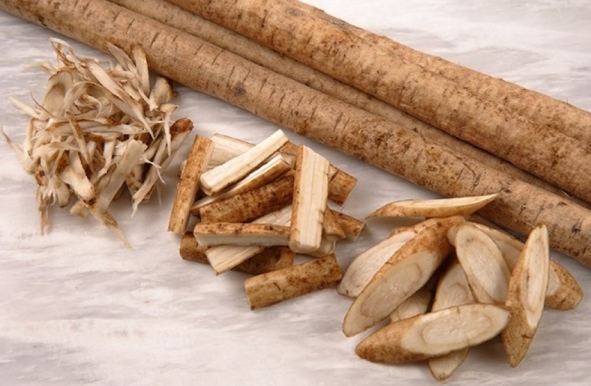 củ ngưu bàng