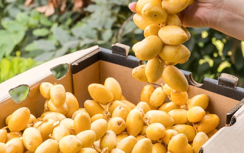 quả chà là