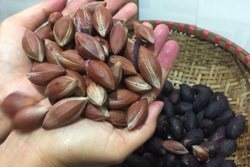 quả trám