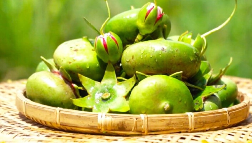 quả bần