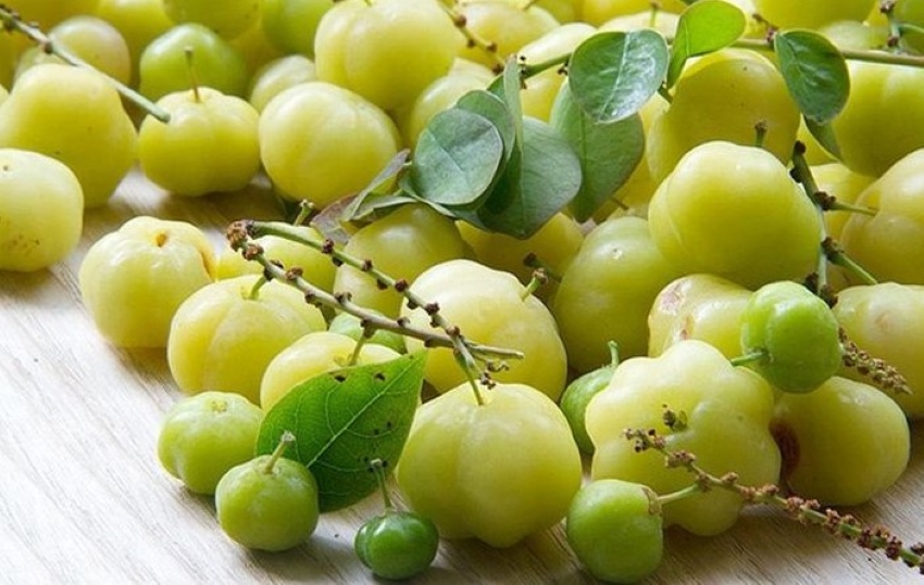 quả chùm ruột