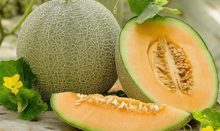 quả dưa