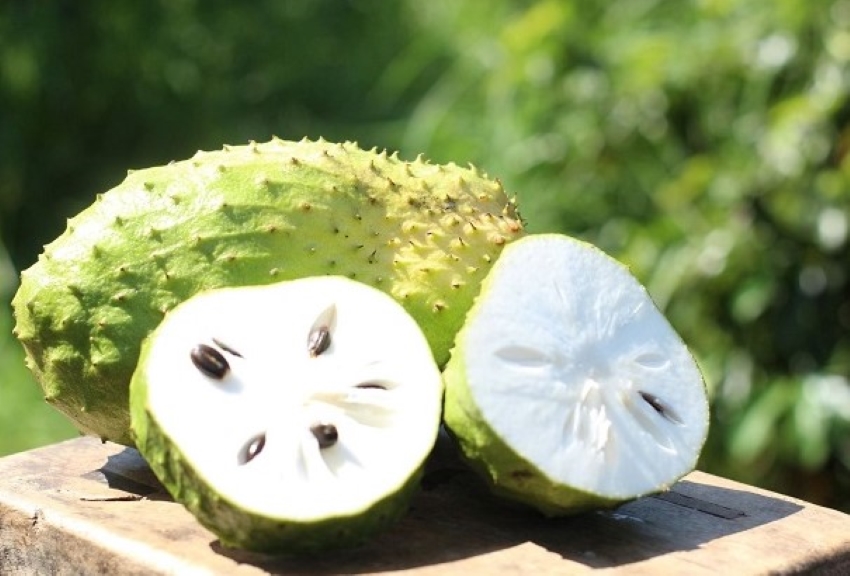 quả mãng cầu
