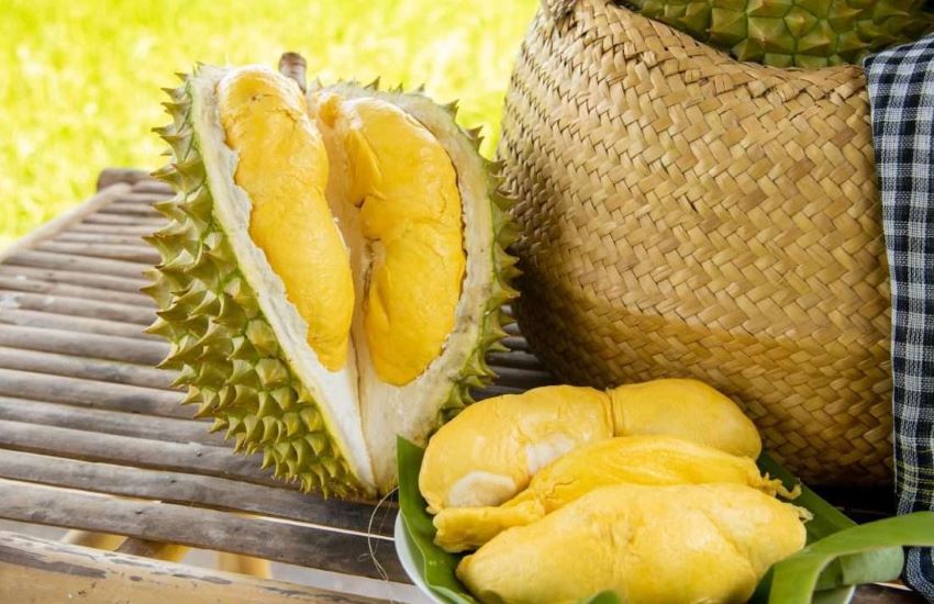 quả sầu riêng