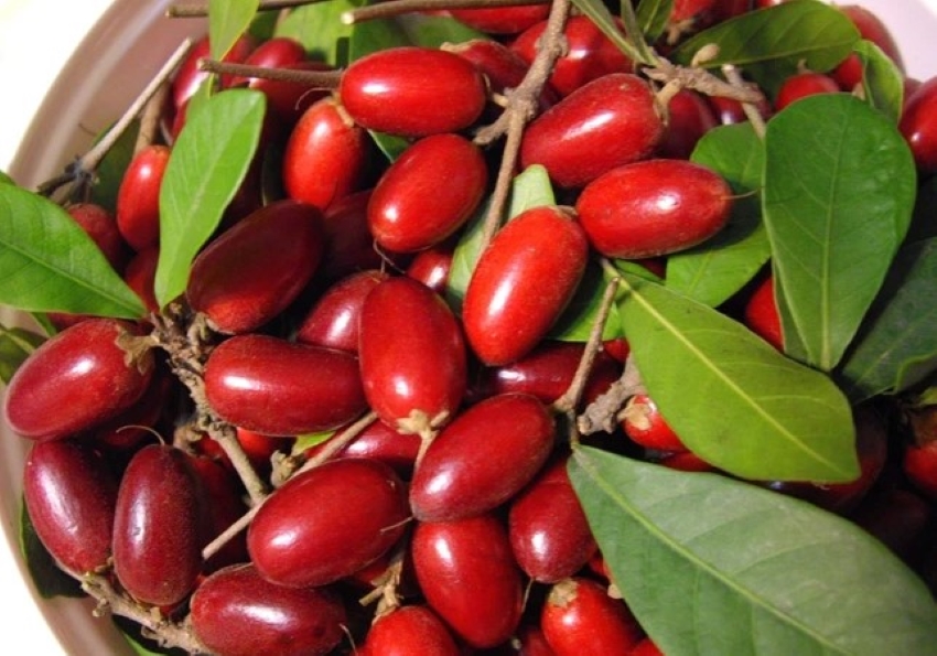 quả thần kỳ